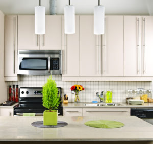 kitchen cabinets san diego